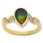 Evan Ring