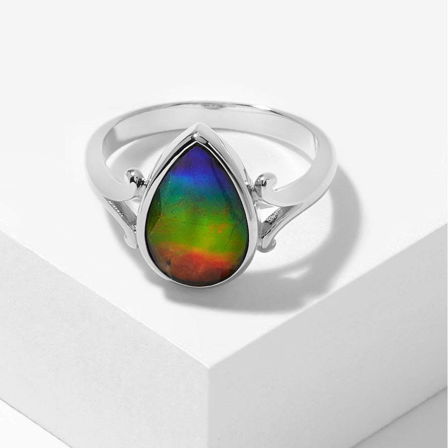 Jodi Ring