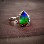 Jodi Ring