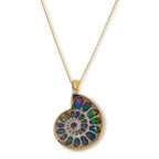 Madagascar Ammonite Pendant