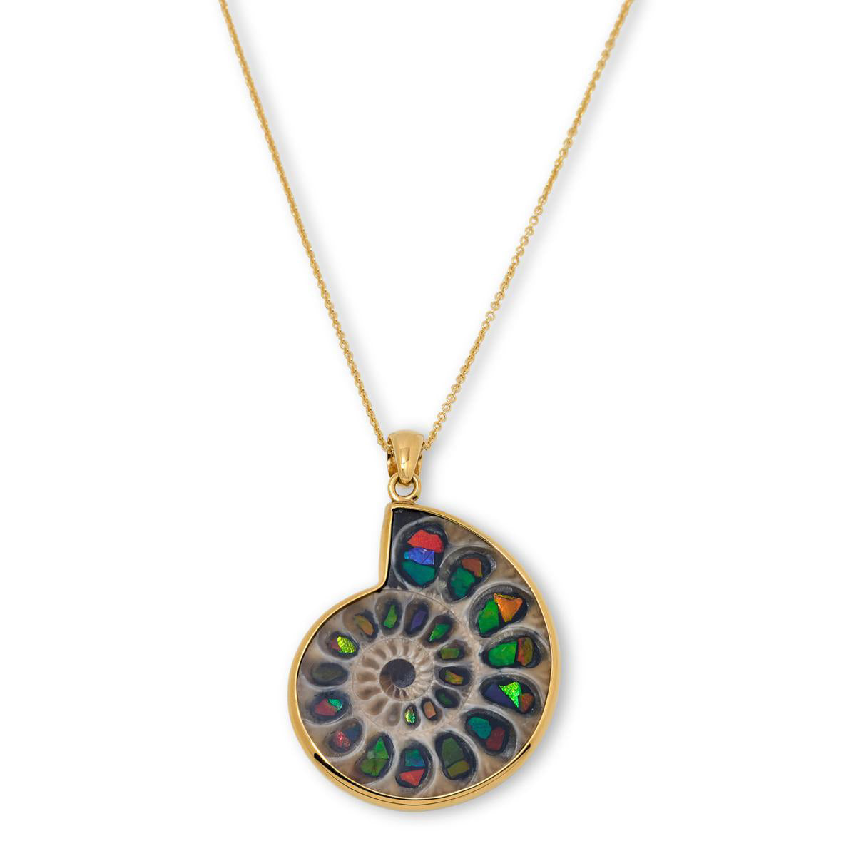 Madagascar Ammonite Pendant